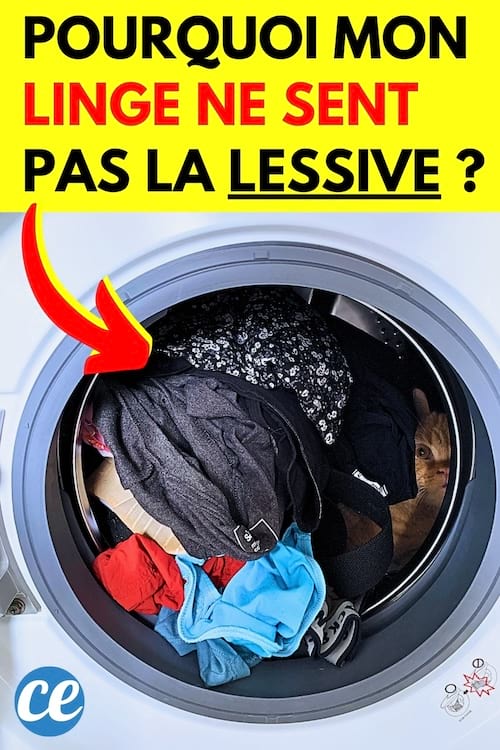Les raisons surprenantes pour lesquelles votre linge dégage une mauvaise odeur dans l&rsquo;armoire